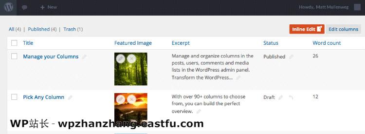 如何使用Admin Columns Pro管理WordPress内容 2 列