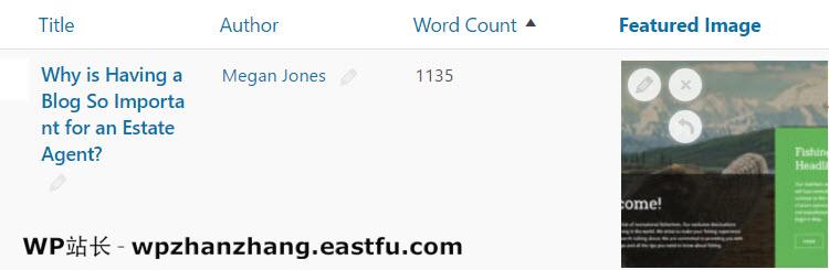 如何使用Admin Columns Pro管理WordPress内容 20 FI编辑