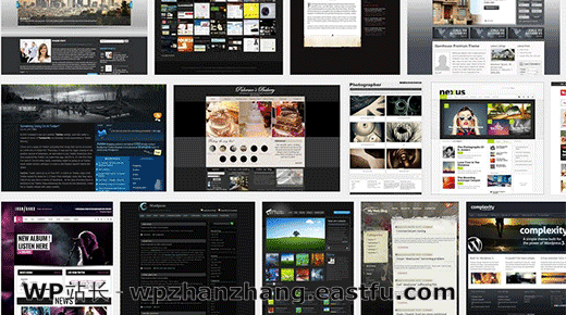 丰富的WordPress Premium主题