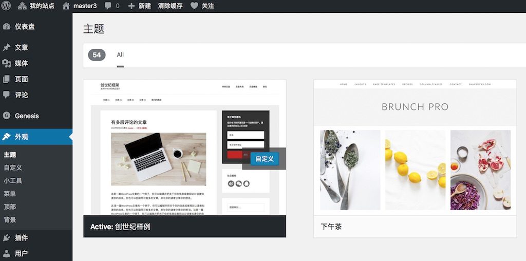 增加Top 10热门文章插件和全站最新文章 5 管理菜单中的主题菜单项