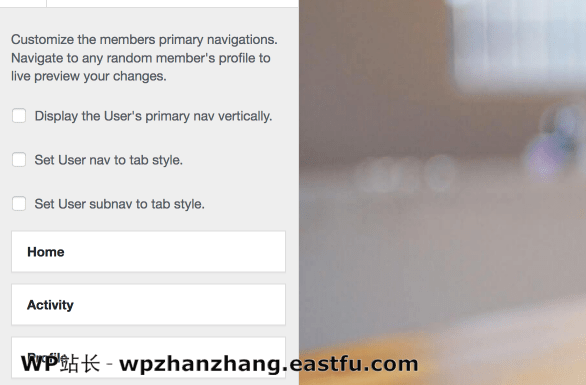 BuddyPress定制器选项