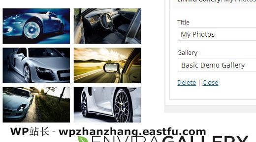 Envira Gallery Widget