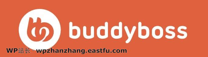 哥们 BuddyBoss主题评测:可以成为完美的会员网站主题吗?