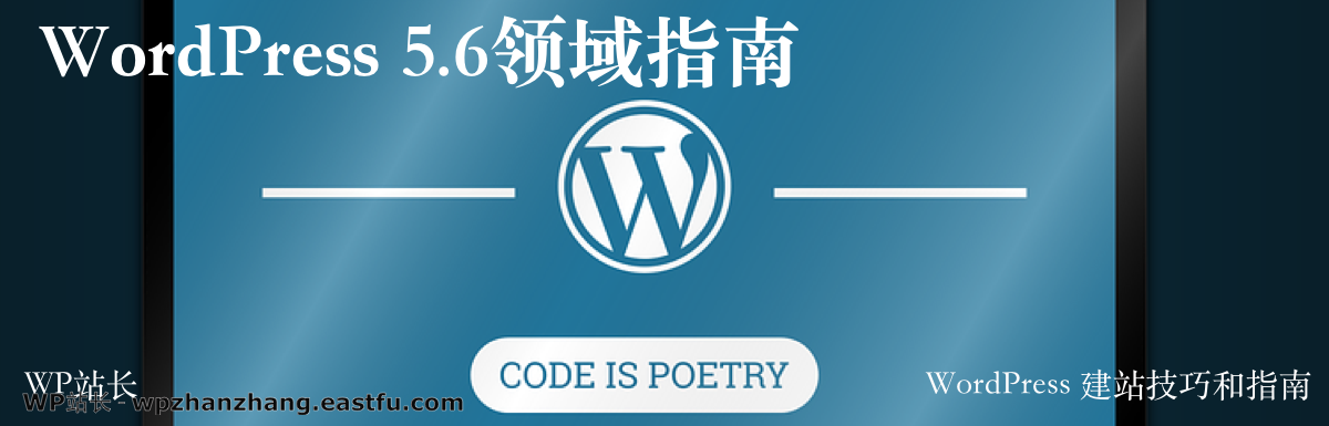 WordPress 5.6领域指南