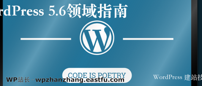 WordPress 5.6领域指南