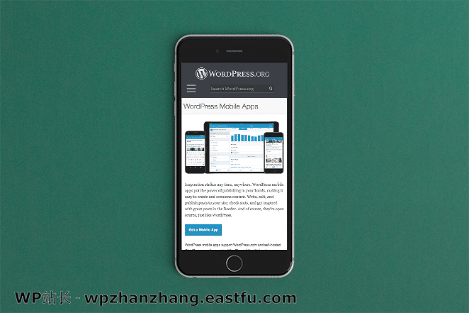为什么WordPress是最好的CMS(2021) 4 为什么WordPress是最好的CMS(2021)