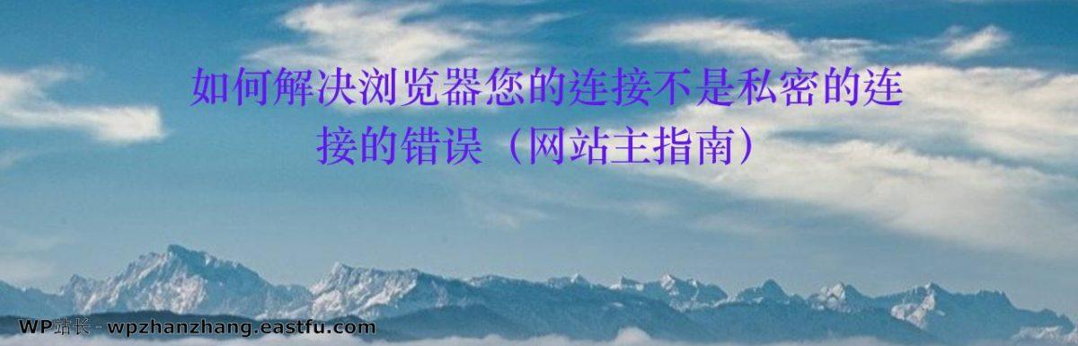 如何解决浏览器您的连接不是私密的连接的错误(网站主指南)