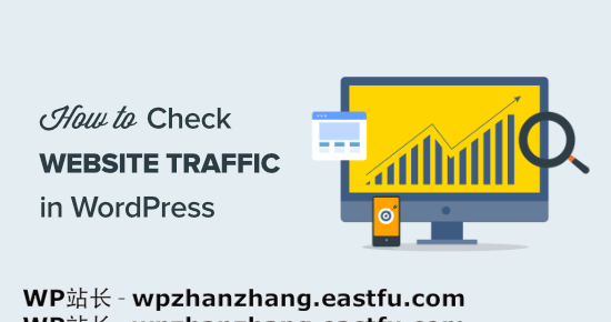 如何检查网站流量(7种最佳工具)