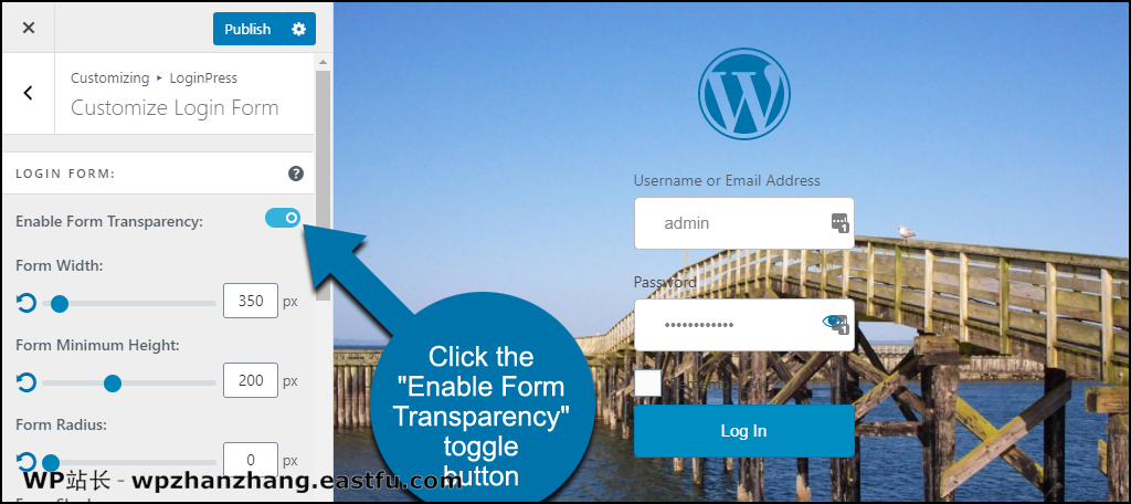 如何使用 LoginPress 创建 WordPress 自定义登录页面 16 LoginPress WordPress 插件透明表单