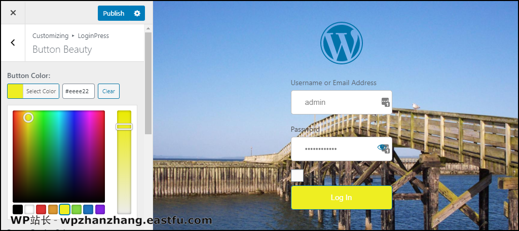 如何使用 LoginPress 创建 WordPress 自定义登录页面 20 LoginPress WordPress 插件按钮颜色