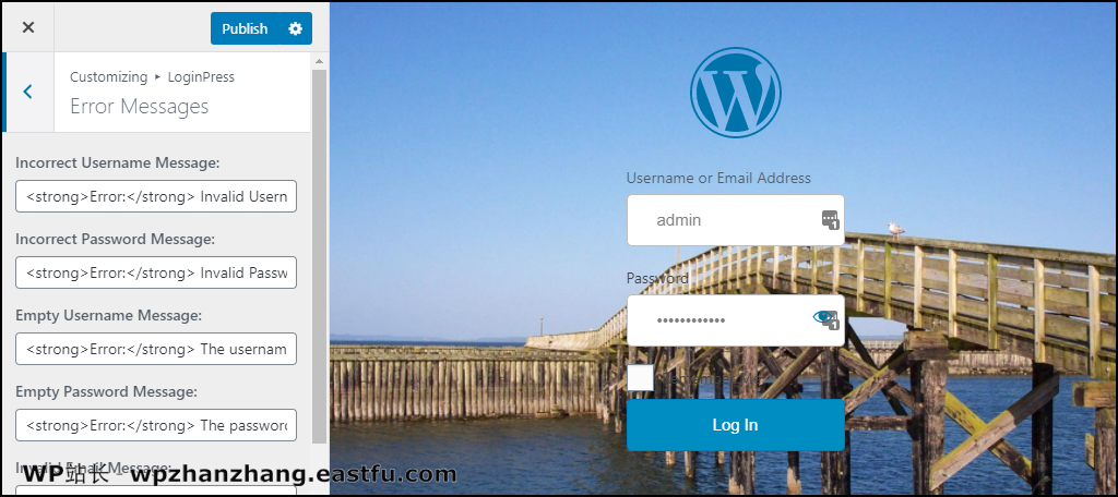 如何使用 LoginPress 创建 WordPress 自定义登录页面 21 LoginPress WordPress 插件错误消息