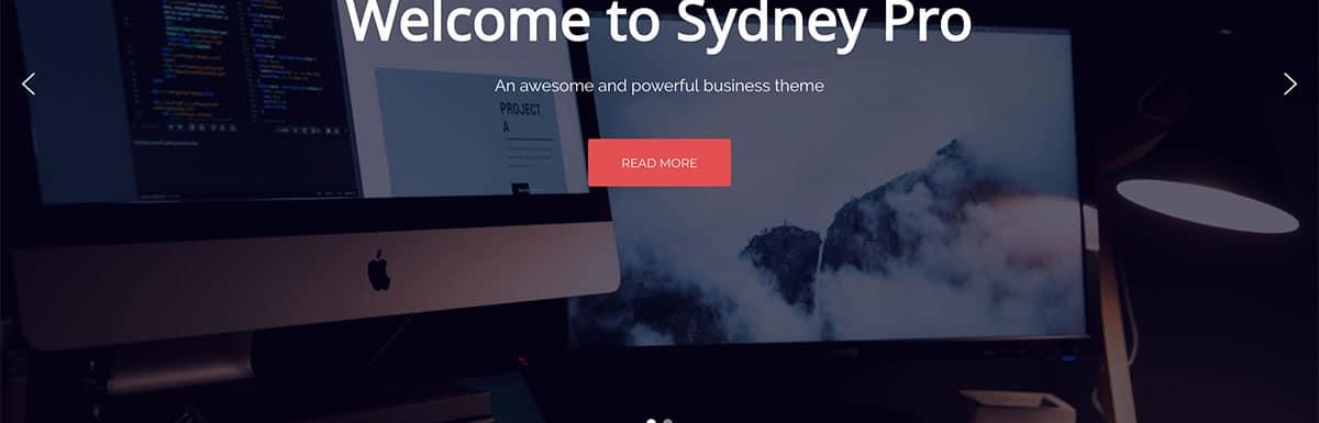 2021年35个最佳WordPress企业主题和商业主题