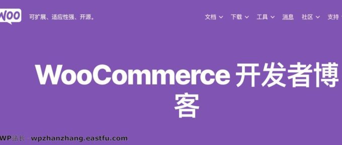 开发者建议:WooCommerce多个版本中的严重漏洞