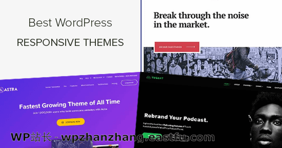 40+个最佳响应式WordPress主题(2021年)
