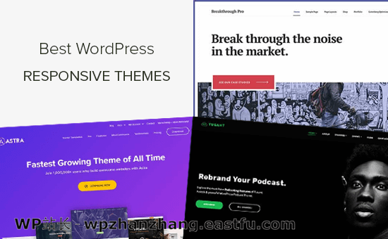 40+个最佳响应式WordPress主题(2021年)