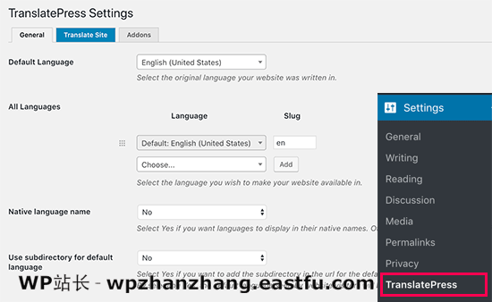 TranslatePress 设置 TranslatePress 设置