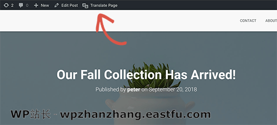 开始翻译任何页面 开始翻译任何页面