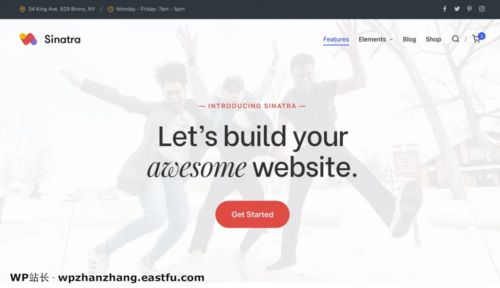 60+最佳免费 WordPress 主题 - 完整列表(2021年) 24 辛纳屈主题