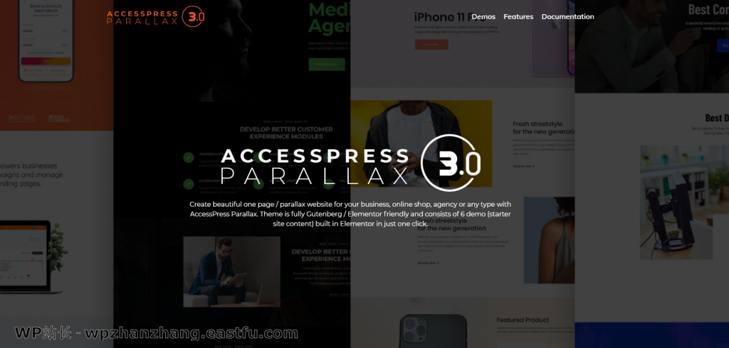 60+最佳免费 WordPress 主题 - 完整列表(2021年) 28 AccessPress 视差主题