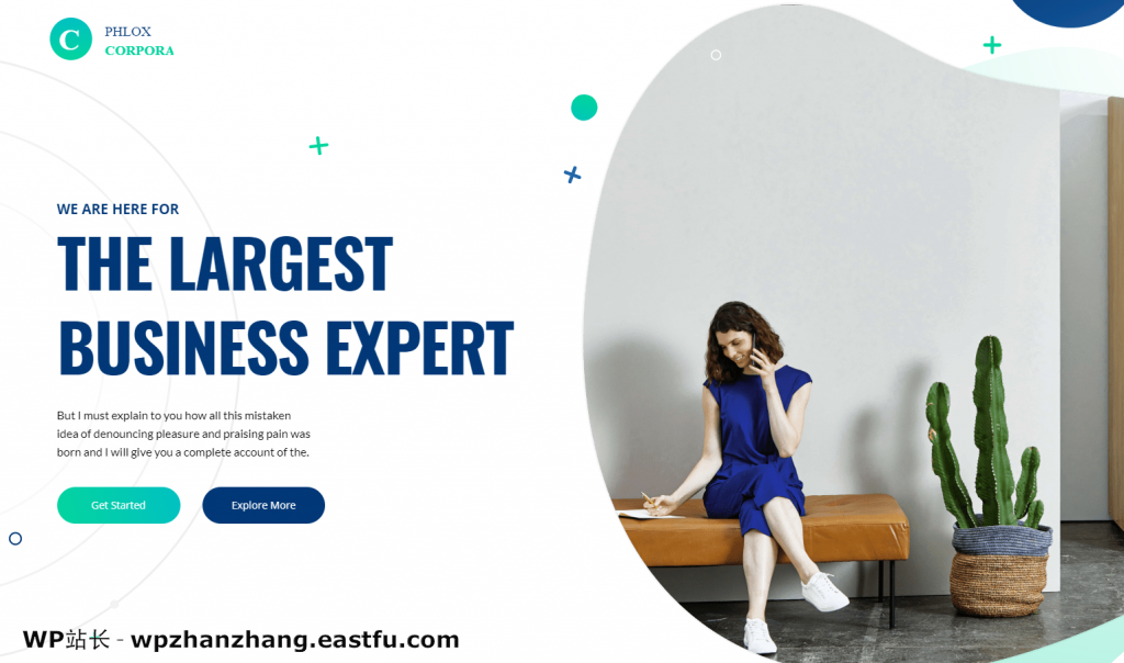 60+最佳免费 WordPress 主题 - 完整列表(2021年) 29 福禄考演示站点