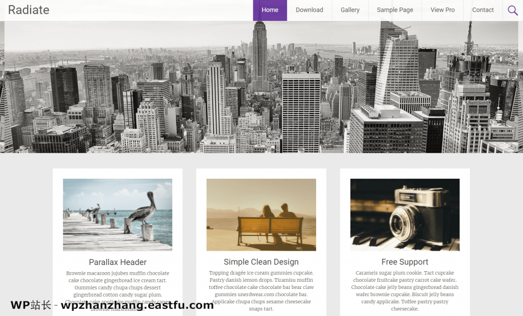 60+最佳免费 WordPress 主题 - 完整列表(2021年) 33 辐射博客主题