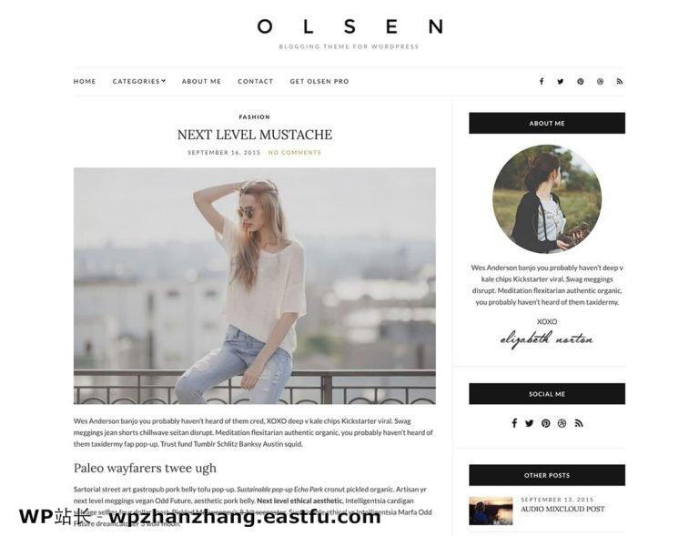 Olsen-light尔森之光