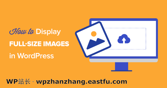 如何在 WordPress 中显示全尺寸图像