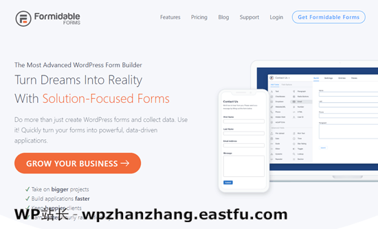 强大的表单数据可视化插件 Formidable Forms data visualization plugin