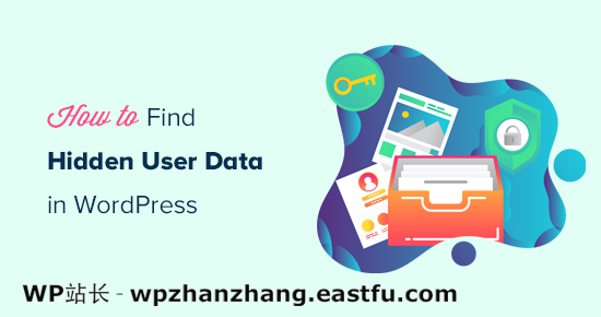 查找隐藏的 WordPress 用户数据以发展您的业务的 9 个技巧