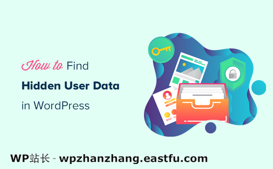 查找隐藏的 WordPress 用户数据以发展您的业务的 9 个技巧