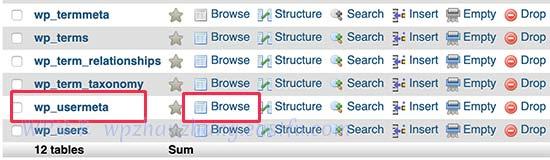 浏览 wp_usermeta 表 浏览 wp_usermeta 表
