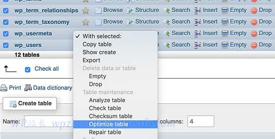 优化 WordPress 数据库表 优化 WordPress 数据库表
