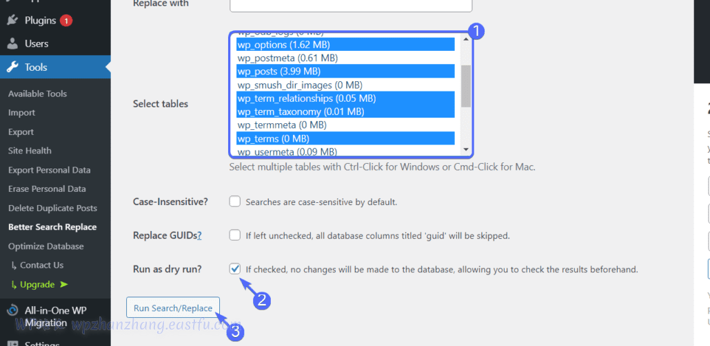 WordPress Mixed Content混合内容警告:4 种简单的修复方法 13 运行搜索替换