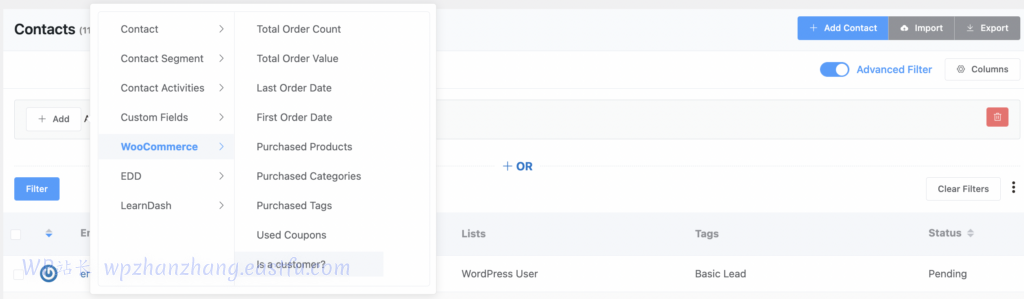 FluentCRM 2.6.0:更多功能、集成改进等等! 8 是否是 FluentCRM 的客户条件
