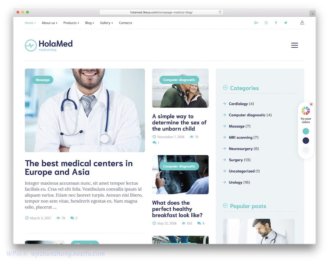 2022年33个最佳WordPress健康与医疗主题 29 holamed 健康医学 wordpress 主题