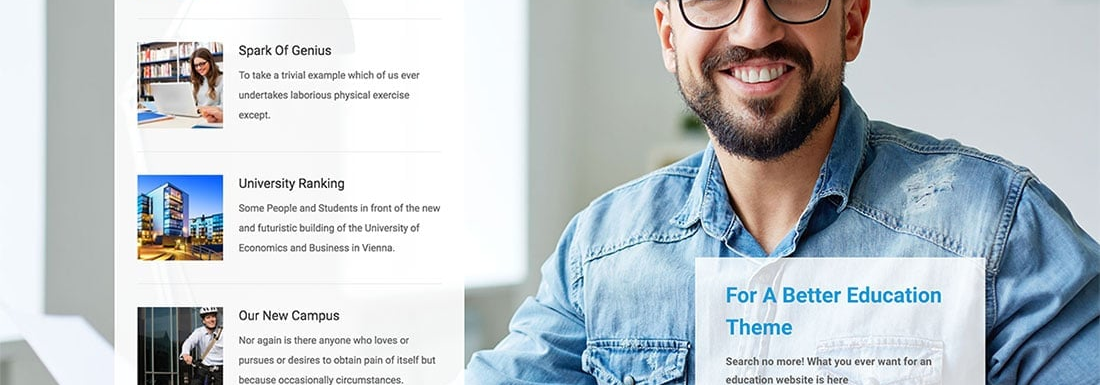 2022年10+最好的LearnDash在线教育主题