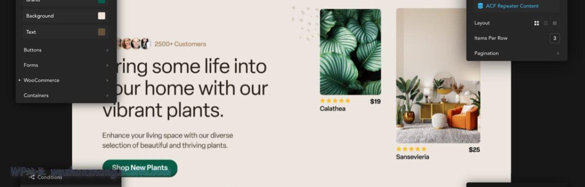 Breakdance评测：改变游戏规则的WordPress网站生成器