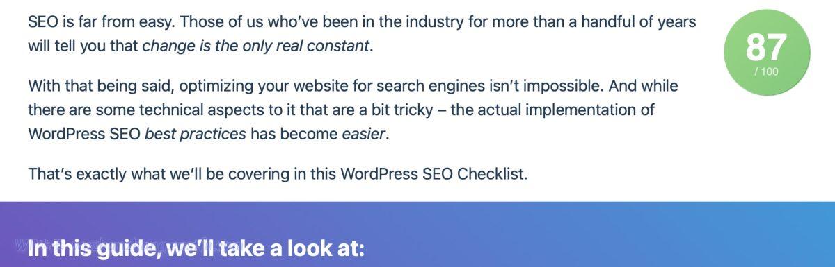 Google SEO内容指南：您实现最大自然流量的路线图