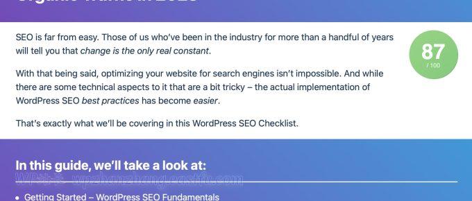 Google SEO内容指南:您实现最大自然流量的路线图