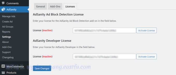 输入 AdSanity 许可证密钥 输入 AdSanity 许可证密钥