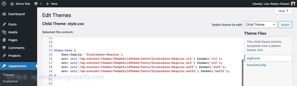 将自定义字体添加到 Divi CSS 样式表