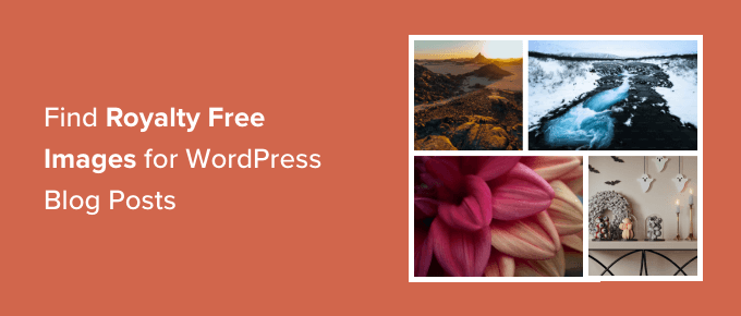 如何为您的WordPress博客文章找到免版税图片