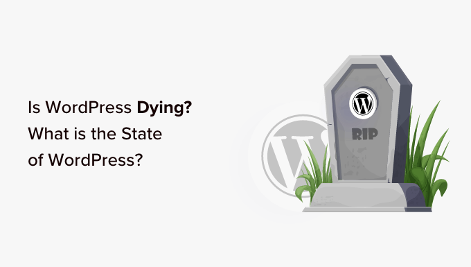 WordPress正在消亡吗？2024版WordPress现状