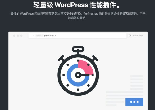 Perfmatters | 轻量级 WordPress 优化插件