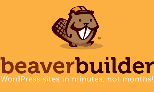 BEAVER BUILDER PRO