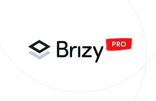 Brizy Pro