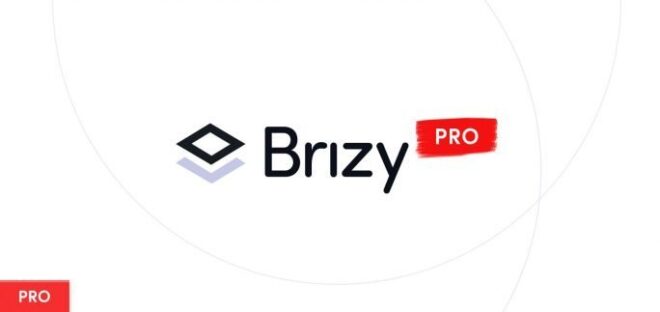 Brizy Pro