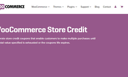 WOOCOMMERCE STORE CREDIT