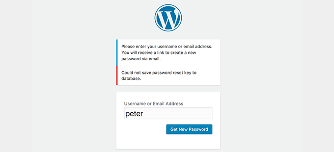 WordPress 中的密码重置密钥错误 WordPress 中的密码重置密钥错误