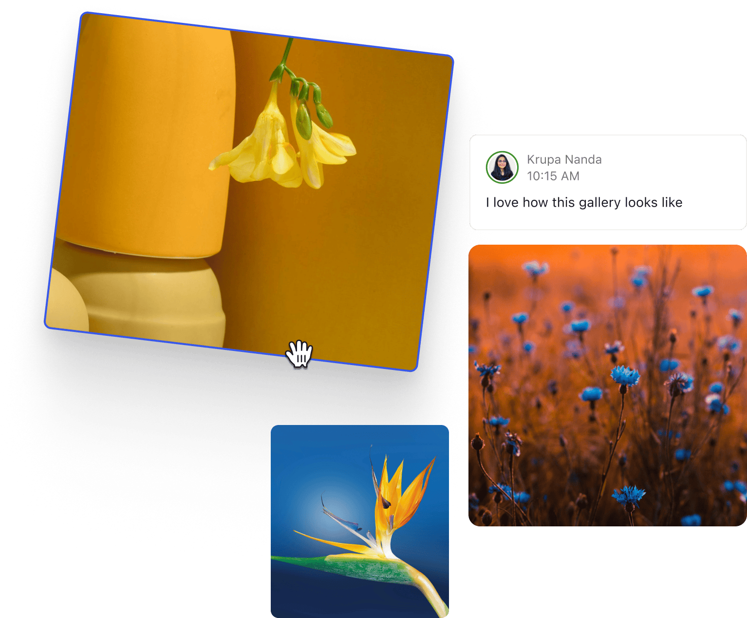 图片拼贴，其中一张图片被光标用手形笔触从页面上提起。一位评论者写道：“我喜欢这个画廊的风格。”